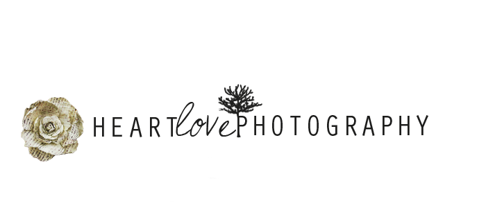 heartlove photography